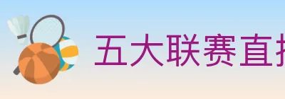 五大联赛直播 logo